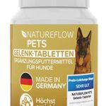 Gelenktabletten - TESTSIEGER Made in Germany für Hunde mit Grünlippmuschel, MSM und Teufelskralle - Keine Kapseln, hohe Akzeptanz beim Hund - 100 Stück für bis zu 6 Monate  